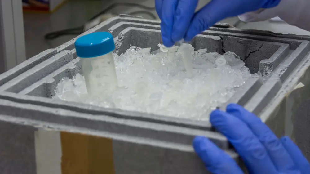 Propriété de tenu au froid tester en laboratoire